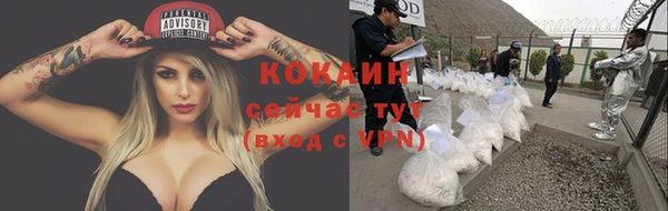 стафф Алексин