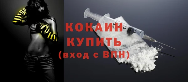 стафф Алексин